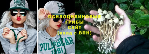 прущие крисы Алексин