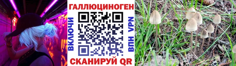 закладка  Балабаново  Галлюциногенные грибы мицелий 