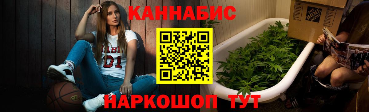 Каннабис OG Kush Балабаново